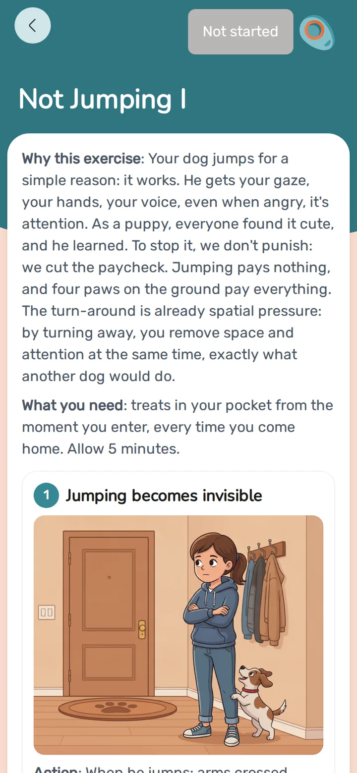 Screenshot of a lesson with illustrated steps